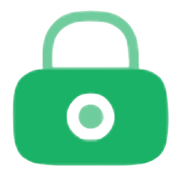 Password icon