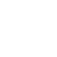 Home Icon