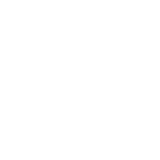 Wallet Icon